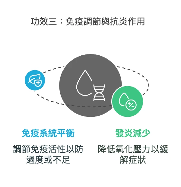 外泌體功效三：免疫調節與抗炎作用